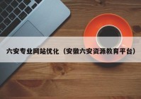 六安专业网站优化（安徽六安资源教育平台）