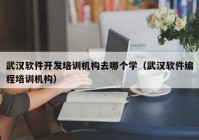 武汉软件开发培训机构去哪个学（武汉软件编程培训机构）