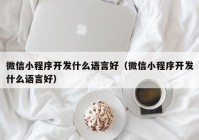 微信小程序开发什么语言好（微信小程序开发什么语言好）