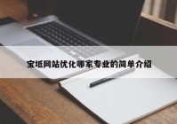 宝坻网站优化哪家专业的简单介绍