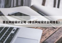 章丘网站设计公司（章丘网站设计公司排名）