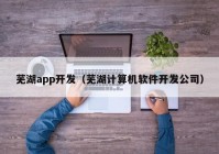 芜湖app开发（芜湖计算机软件开发公司）