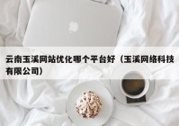 云南玉溪网站优化哪个平台好（玉溪网络科技有限公司）