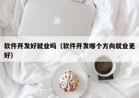 软件开发好就业吗（软件开发哪个方向就业更好）