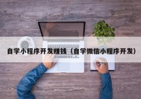 自学小程序开发赚钱（自学微信小程序开发）