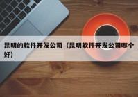 昆明的软件开发公司（昆明软件开发公司哪个好）