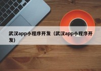 武汉app小程序开发（武汉app小程序开发）