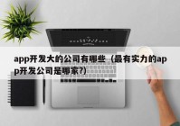 app开发大的公司有哪些（最有实力的app开发公司是哪家?）