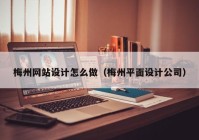 梅州网站设计怎么做（梅州平面设计公司）