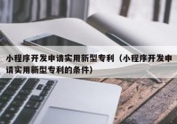 小程序开发申请实用新型专利（小程序开发申请实用新型专利的条件）