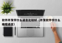 软件开发学什么语言比较好（开发软件学什么编程语言）