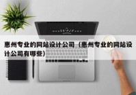 惠州专业的网站设计公司（惠州专业的网站设计公司有哪些）