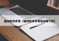 福州软件开发（福州软件开发培训哪个好）