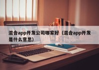 混合app开发公司哪家好（混合app开发是什么意思）