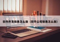 软件开发销售怎么做（软件公司销售怎么做）