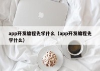 app开发编程先学什么（app开发编程先学什么）