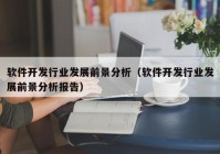 软件开发行业发展前景分析（软件开发行业发展前景分析报告）