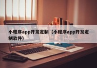 小程序app开发定制（小程序app开发定制软件）