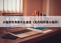 小程序开发用什么语言（无代码开发小程序）