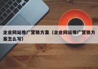 企业网站推广营销方案（企业网站推广营销方案怎么写）