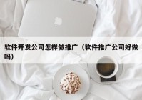 软件开发公司怎样做推广（软件推广公司好做吗）