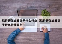 软件开发企业属于什么行业（软件开发企业属于什么行业类别）