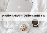 pc网站优化排名软件（网站优化快速排名软）