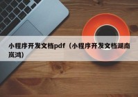 小程序开发文档pdf（小程序开发文档湖南岚鸿）