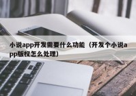 小说app开发需要什么功能（开发个小说app版权怎么处理）