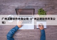 广州正规软件开发公司（广州正规软件开发公司）