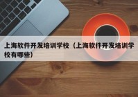 上海软件开发培训学校（上海软件开发培训学校有哪些）