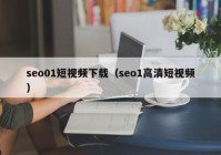 seo01短视频下载（seo1高清短视频）