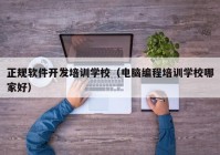 正规软件开发培训学校（电脑编程培训学校哪家好）