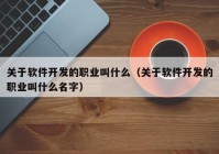 关于软件开发的职业叫什么（关于软件开发的职业叫什么名字）