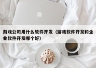 游戏公司用什么软件开发（游戏软件开发和企业软件开发哪个好）