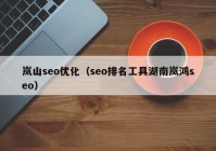 岚山seo优化（seo排名工具湖南岚鸿seo）