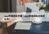 app开发团队介绍（app项目团队介绍怎么写）