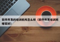 软件开发的培训机构怎么样（软件开发培训班哪家好）