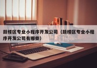 鼓楼区专业小程序开发公司（鼓楼区专业小程序开发公司有哪些）