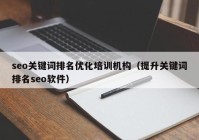 seo关键词排名优化培训机构（提升关键词排名seo软件）