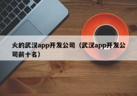 火的武汉app开发公司（武汉app开发公司前十名）