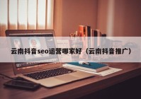 云南抖音seo运营哪家好（云南抖音推广）