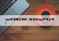 app开发哪公司好（有名的app开发公司）