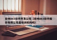 郑州863软件开发公司（郑州863软件股份有限公司是培训机构吗）