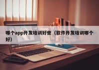 哪个app开发培训好些（软件开发培训哪个好）