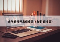 自学软件开发程序员（自学 程序员）