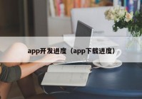 app开发进度（app下载进度）