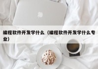 编程软件开发学什么（编程软件开发学什么专业）