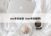 seo中文名称（seo中文解释）