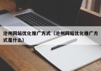 沧州网站优化推广方式（沧州网站优化推广方式是什么）